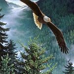 Steve Diemer - Instagram Profile Picture of Steve Diemer (@tank01903) on Instagram