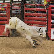 Jerry Taylor - Youtube Profile Picture of Jerry Taylor (@jerrytaylor8001) on Youtube