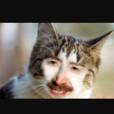 Profile Picture of A.j Buffa (@Xx_fishpaste_xX) on Twitter