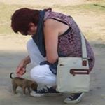 Profile Picture of Jillian Paul (@jillian.paul) on Instagram