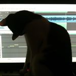 Profile Picture of Joshua Hemming (@isocat) on Instagram