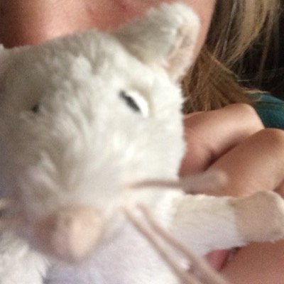 Profile Picture of Patrick, The Mouse (@patrickmouse) on Twitter