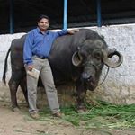 Profile Picture of Santosh Thomas (@santosh.thomas.j316) on Instagram
