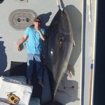 Profile Picture of Alec Levine (@_aleclevine) on Instagram