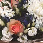 Terri’s Blooming Bouquet’s - Instagram Profile Picture of Terri’s Blooming Bouquet’s (@terris_blooming_bouquets) on Instagram