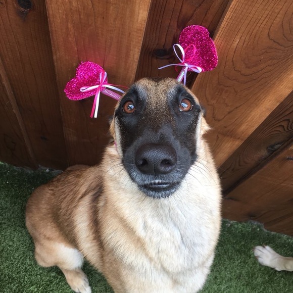 Profile Picture of Joselyn Jimenez (@josypoo) on Poshmark