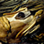 Profile Picture of Nate Hill @ Silent Barn 10/31/08 (@nate hill @ silent barn 10/31/08) on Flickr