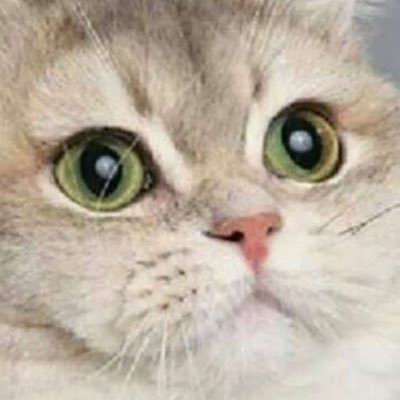 Profile Picture of Bigboyonleg’s (@JacobLarocque3) on Twitter