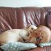 Profile Picture of Sharon Stubbs (@sharon.stubbs.3994) on Facebook