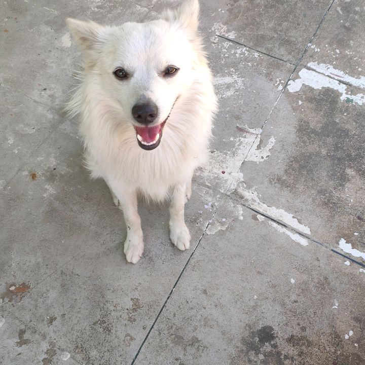 Profile Picture of yolandachung (@yolandachung) on Tiktok