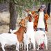 Profile Picture of Sue Trask (@sue.trask.9) on Facebook