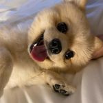 Profile Picture of Kaylee🤸🏻‍♀️ (@kaylee_kim_) on Instagram