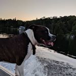 Profile Picture of Matt Avery (@e46avery) on Instagram