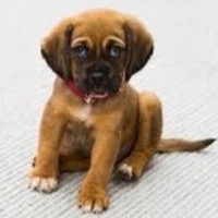 Profile Picture of Bryce Pierce (@bryce-pierce-11) on Quora