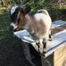 Profile Picture of Aaron Boucher (@aaron.boucher.980) on Facebook