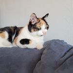 Profile Picture of Cindy Proctor (@capro_24) on Instagram