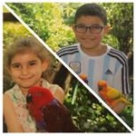 Fortnite Battle Royale - Instagram Profile Picture of Fortnite Battle Royale (@omarelshazli35) on Instagram