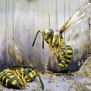 Profile Picture of RHEA THIERSTEIN (@rhea_thierstein) on Instagram