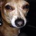 Profile Picture of Zoë Kyrie Tobin Peterson (@Zoë-Kyrie-Tobin-Peterson) on Facebook