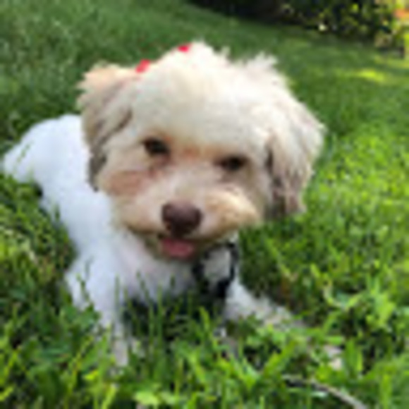 Profile Picture of Celine Bell (@celinebell) on Poshmark