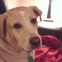 Profile Picture of Laurie Lukas (@laurie-lukas) on Quora