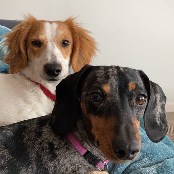 Profile Picture of Svetlana Sergojan (@wyoming14) on Poshmark