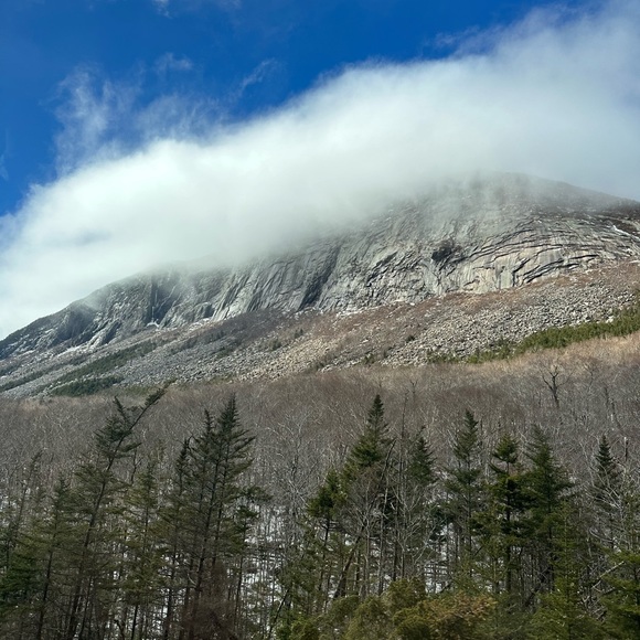 Profile Picture of Patrick Hines (@patrickhines) on Poshmark