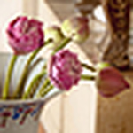 Julia - Flickr Profile Picture of Julia (@solnceutrookean) on Flickr