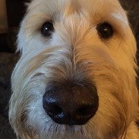 Profile Picture of Benjamin Lander (@benjamin-lander-2) on Quora