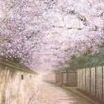 东秋文 - Instagram Profile Picture of 东秋文 (@dongqiuwen9716) on Instagram