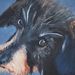 Profile Picture of Marcy Silverstein (@marcy1146) on Pinterest