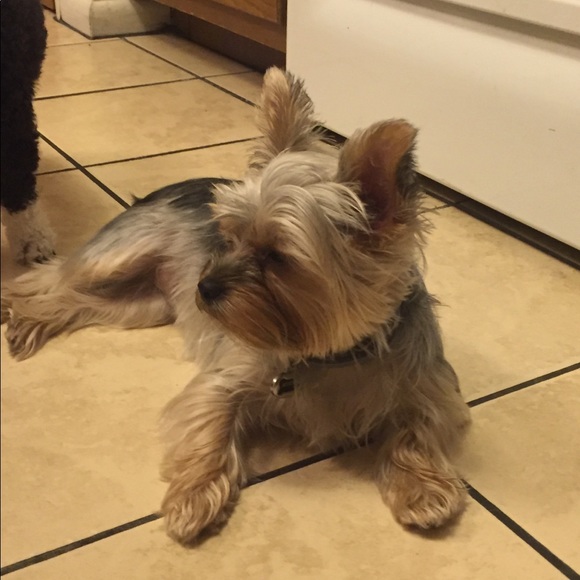 Profile Picture of Sandra Kidd (@sandrakidd101) on Poshmark