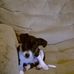Profile Picture of Linda Shackelford (@linda.shackelford.33) on Facebook