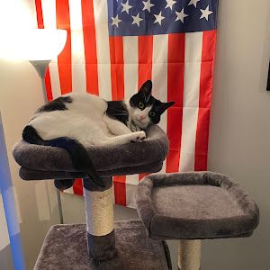 Profile Picture of Kyle Kirshner (@kyle.kirshner) on Tiktok