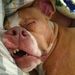 Profile Picture of Carlos Grimes (@blacsi99) on Pinterest