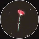 Profile Picture of Julianna Wright (@wright_julianna) on Instagram