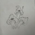 Profile Picture of xavier gallegos (@xaviergallegos_22) on Instagram