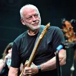 Profile Picture of David Gilmour (@david_gilmour_photo_ins) on Instagram