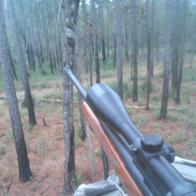 Profile Picture of Hunter Weaver (@hunterweaver58) on Twitter