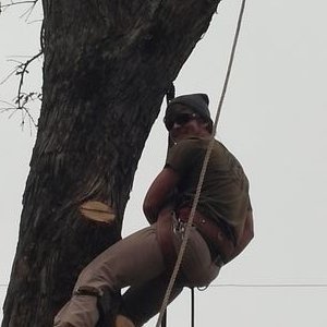 Profile Picture of Jason Wilhite (@1832e4d1a1934b3) on Twitter