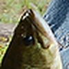 Profile Picture of Pam Beavis (@Michael & mouthy's mom) on Flickr