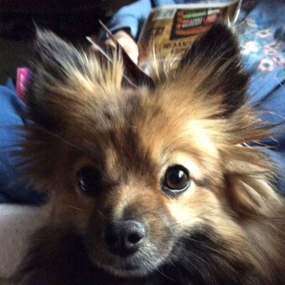 Profile Picture of Mary elizabeth Petrucha (@marybeth8888) on Poshmark