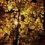 Profile Picture of bounoua shao (@bounouashao43) on Instagram