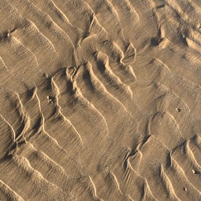 Profile Picture of Mark Chisman (@ChismanMark) on Twitter