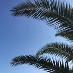 Profile Picture of 😊 (@bonaalexa) on Instagram