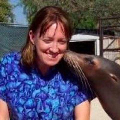 Profile Picture of Cynthia Stringfield (@doctorsdvm) on Twitter