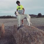 Profile Picture of alexcallen (@alex_ach_10) on Instagram