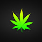 Profile Picture of Daniel Bartlett (@@AKxPReCiSioNx) on Tiktok
