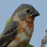 Profile Picture of Oveth Fuentes (@oveth_f@hotmail.com) on Flickr