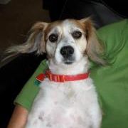 Joseph Serino - Pinterest Profile Picture of Joseph Serino (@joebear38) on Pinterest